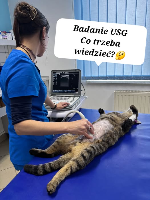 usg