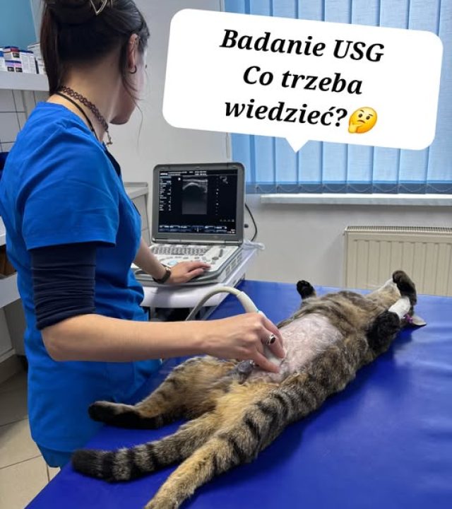 usg